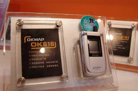 2005年中國(guó)國(guó)際通信設(shè)備技術(shù)展 8號(hào)館Okiwap產(chǎn)品秀圖片回顧